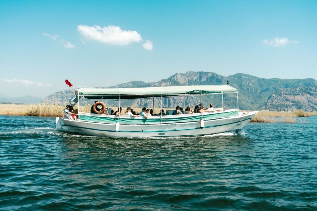 Travel activities and transportation expenses