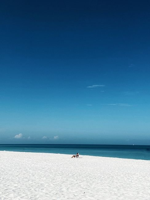 Peaceful beach scene under clear blue sky in Naples, Florida