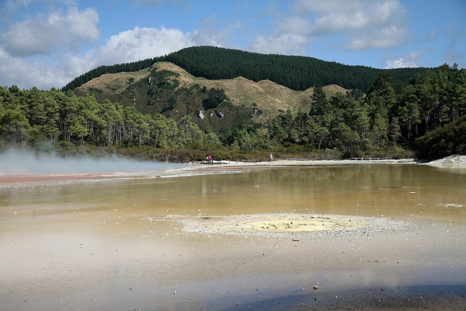 Colorful geothermal pools and steam rising from the ground at a thermal area near Rotorua, New Zealand