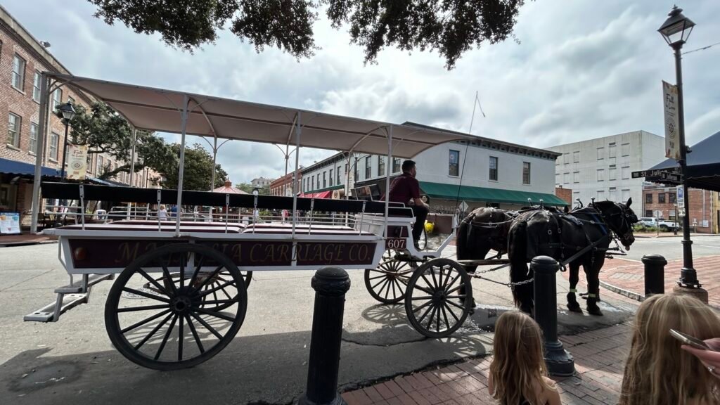 Horse-drawn carriage ride through Savannah's historic district