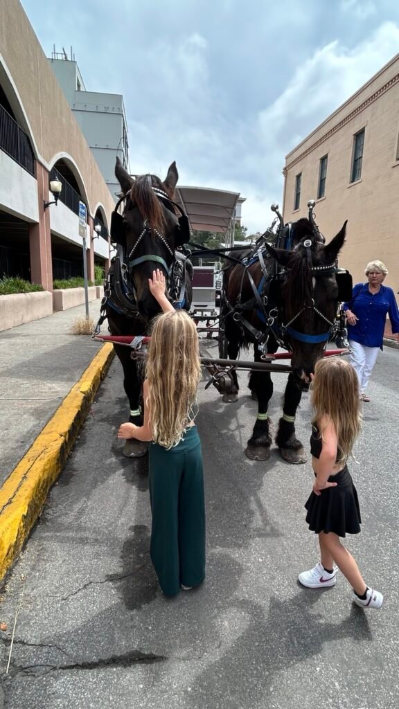 Granddaughters petting the carriage horses in Savannah