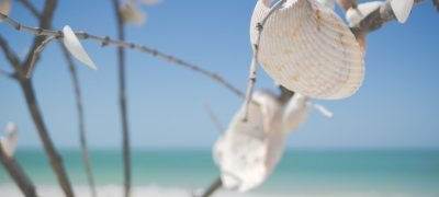 Seashells on the sand at Marco Island beach, a highlight of this Marco Island travel guide